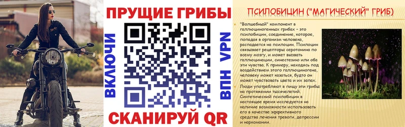 Галлюциногенные грибы прущие грибы  купить   Княгинино 